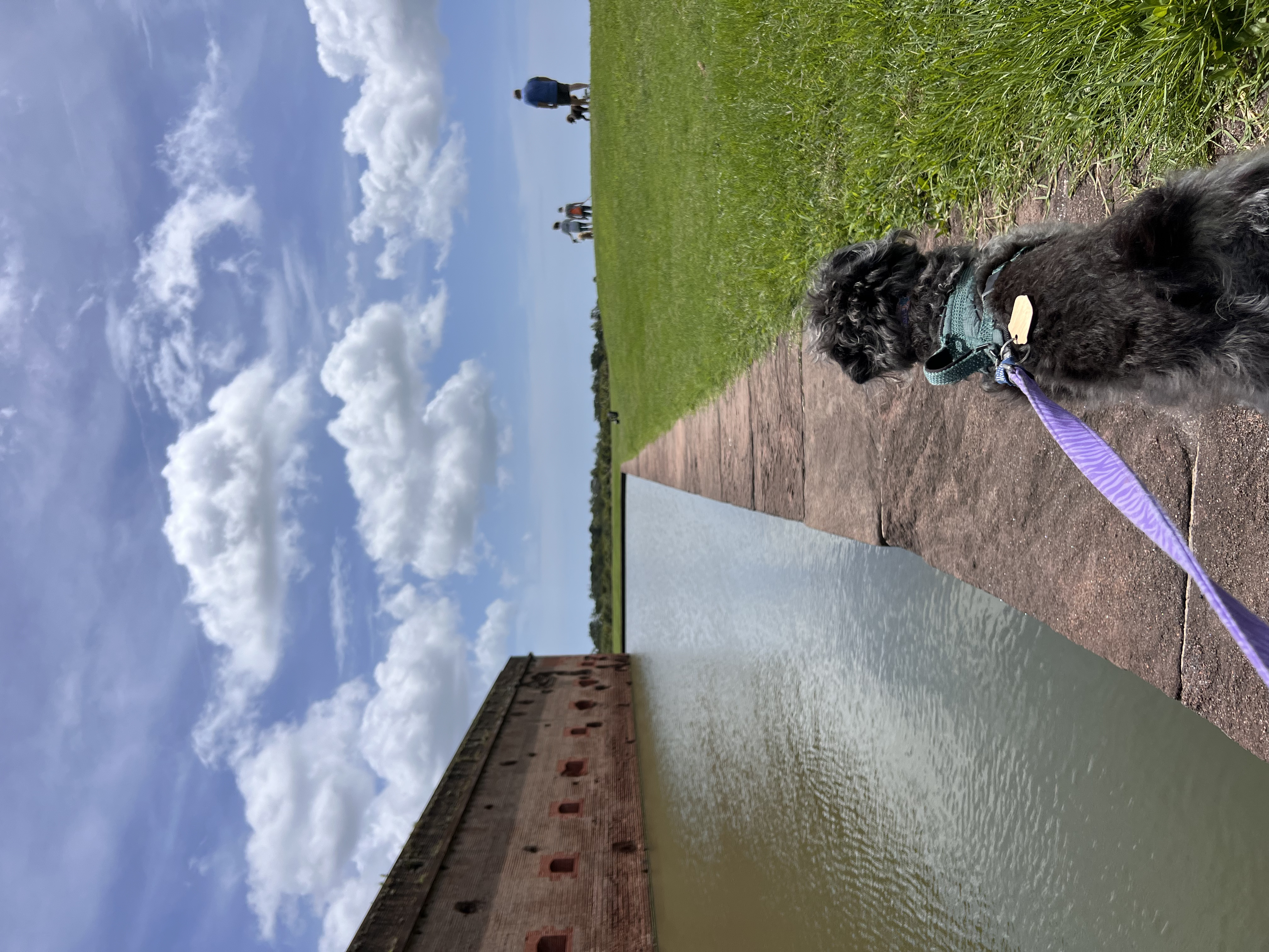 ./2025/06 - Savannah/IMG_0865.jpg